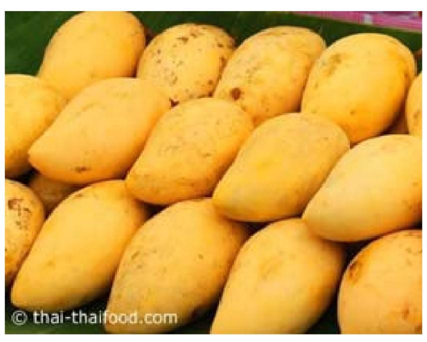 ނަމްޑޮކްމައި ގޯލްޑް