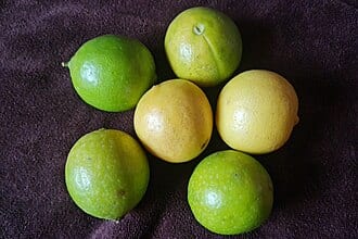 Lime