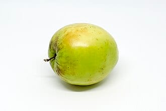 ރަތް ކުންނާރު